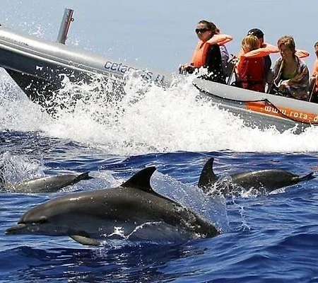 Apartamento Casa Branca- By Caelis Inspire *